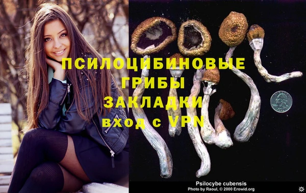 герыч Инта