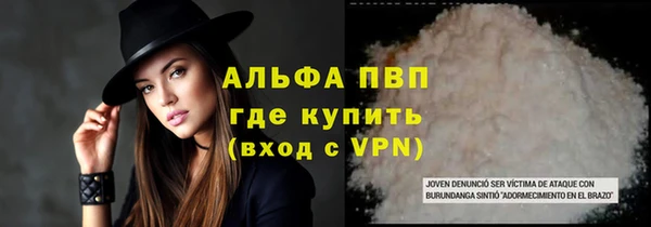 сатива Балахна